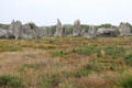 Field of menhirs at Kermario Alignments. Carnac, France.