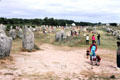 Visitors among menhir alignments prior to site fencing & visits by appointment. Carnac, France.