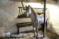 Stable off kitchen at Jacques Cartier Manor House Museum. St Malo, France.
