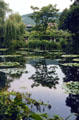 Giverny lily pond with hills in background. Giverny, France