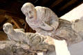Human-form gargoyles in architecture gallery at Blois Chateau. Blois, France.