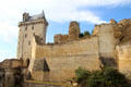 La Tour de l'Horloge & eastern defense walls at Château de Chinon. Chinon, France.