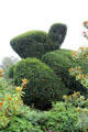 Topiary in gardens at Chaumont-Sur-Loire. France.