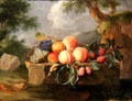 Fruit on stone base painting by Pierre Dupuis at Orleans Beaux Arts Museum. Orleans, France.