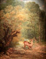 Deer in Woods painting by Gustave Courbet at Nice Fine Arts Museum. Nice, France.