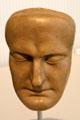Death mask of Napoleon in wax by Docteur Archibald Arnott at Masséna Museum. Nice, France.