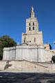 Cathédrale Notre-Dame des Doms d'Avignon. Avignon, France.