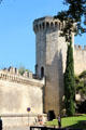 Octagonal tower in Ramparts of Avignon. Avignon, France