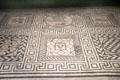 Roman mosaic floor with various squares from Nimes at Musée de la Romanité. Nimes, France.