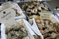 Oysters at Nimes market. Nimes, France.