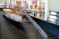 Stern view of wreck of Roman barge found under Rhone river in 2004 at Arles Antiquities Museum. Arles, France