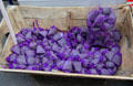 Lavender sachets at city hall square market. Aix-en-Provence, France.