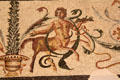 Roman mosaic of centaur at Orange museum of art & history. Orange, France.