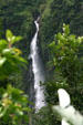 Lower Carbet waterfall. Guadeloupe.