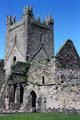 Ruins of Jerpoint Abbey south of Thomastown. Ireland