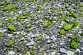 Pebbles on beach at Derrynane National Park. Ireland.