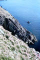 Coastal cliffs of Dingle Peninsula. Ireland.