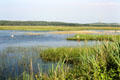 Wetlands at Mullaghmore near Sligo. Ireland.