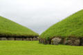 Carved Neolithic stones encircling tombs at Knowth. Ireland