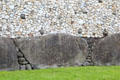 Large stones defining base of passage tomb at Newgrange. Ireland.