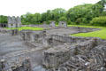 Overview of Cistercian ruins at Old Mellifont Abbey. Ireland.