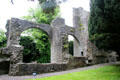 Ruins of arched walls at Maynooth Castle. Ireland.