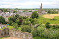 Trim town & St Mary's Abbey area seen from Trim Castle. Trim, Ireland.