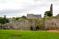 St Mary's Abbey seen over Trim Castle walls. Trim, Ireland.