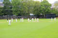 Cricket game at Trinity College. Dublin, Ireland.