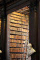 Shelves of Old Trinity Library. Dublin, Ireland.