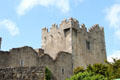 Details of tower of Ross Castle in Killarney National Park. Killarney, Ireland