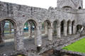 Romanesque arches of church nave at Boyle Abbey. Knocknashee, Ireland.