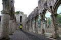 Ruins of church nave at Boyle Abbey. Knocknashee, Ireland.