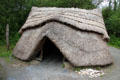 Recreation of Mesolithic straw hut at Irish National Heritage Park. Ireland
