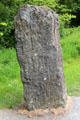 Standing stone engraved with Ogham writing based on Latin alphabet where lines code for letters at Irish National Heritage Park. Ireland.