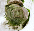 Stone face in Lady Chapel at Tintern Abbey. Ireland.