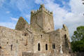 Jerpoint Abbey ruins. Ireland.