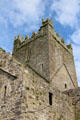 Jerpoint Abbey tower stonework details. Ireland.