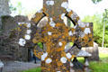 Lichen covered Celtic cross at Jerpoint Abbey. Ireland.