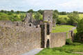 Walls at Kells Priory with church beyond. Ireland
