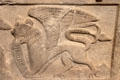 Detail of medieval tomb plaque carved with winged lion symbol of Evangelist St Mark at Rock of Cashel. Cashel, Ireland.