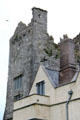 Roofline at Ormond Castle. Carrick-on-Suir, Ireland.