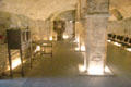 Medieval vault under Museum of Treasures used as gallery for antiquities. Waterford, Ireland.