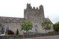 Tower of Trinitarian Priory. Adare, Ireland.