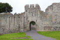 Entrance & portcullis to Desmond Castle. Adare, Ireland.