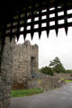 Portcullis guarding entrance to Desmond Castle. Adare, Ireland.