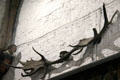 Extinct Irish deer antler on wall of Great Hall at Bunratty Castle. County Clare, Ireland.