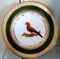 Dagoty porcelain plated painted with golden pheasant at Pitti Palace Ceramics Museum. Florence, Italy.