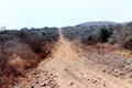 Rough road typical of Kenya wilderness areas. Kenya.