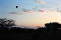 Hot air balloon drifts over Masai Mara National Reserve causing ecological concerns. Kenya.